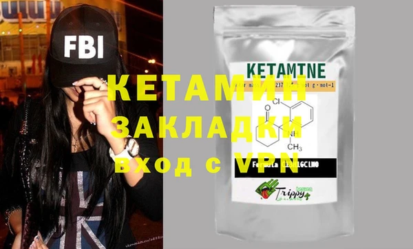 шишки Ельня