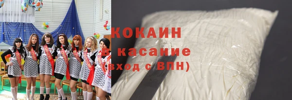 шишки Ельня