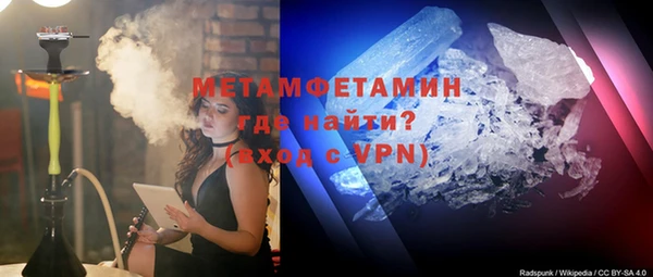 шишки Ельня