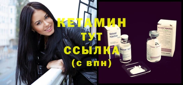 шишки Ельня
