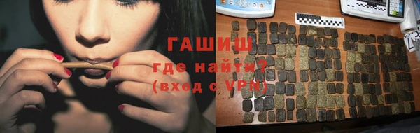 шишки Ельня