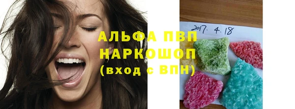 шишки Ельня