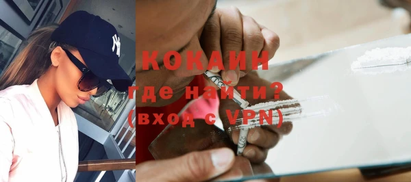 шишки Ельня