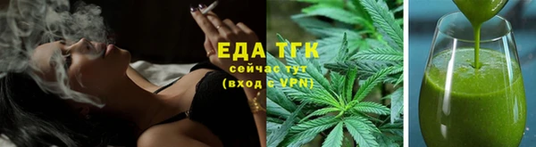 шишки Ельня
