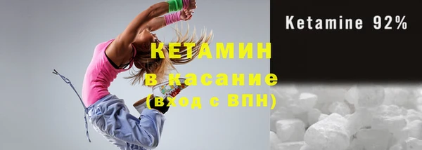 шишки Ельня
