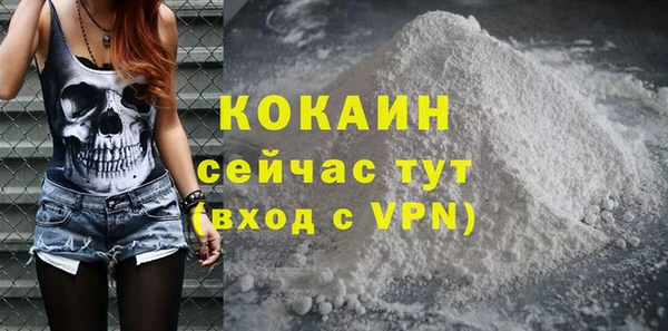 шишки Ельня