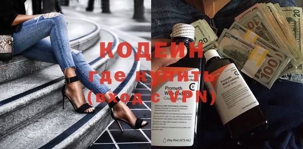 шишки Ельня