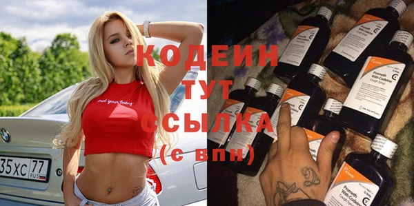 шишки Ельня