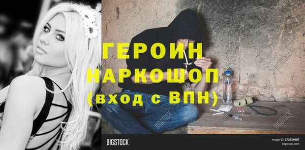 шишки Ельня