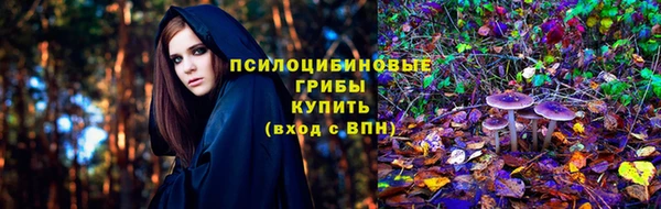 прущая мука Елабуга
