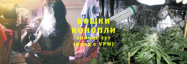 шишки Ельня