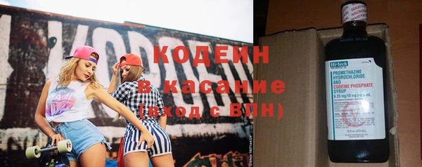 шишки Ельня