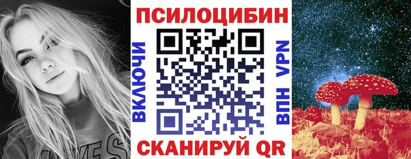 Купить  Калязин  Псилоцибиновые грибы мицелий 